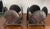 Vintage Brutalist Cast Metal Shell Candle Holders – Sculptural Organic Modern, a Pair For Sale - Image 9 of 11