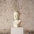 French 20th Century French Male Plaster Bust For Sale - Image 3 of 4