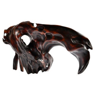 Tropical Driftwood Sculpture by Jörg Pietschmann For Sale