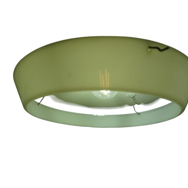 Metal NB93 Yellow Pendant Lamp by Louis Kalff for Philips, 1950s For Sale - Image 7 of 11