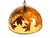 1970s Large Italian Resin Pendant Lamp with Embedded Maple Leaves, 1970s For Sale - Image 5 of 18