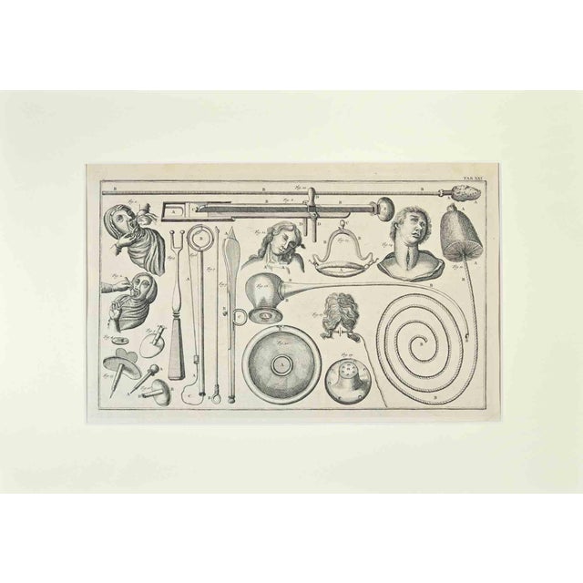 Human anatomy from the suite institutiones chirurgicae by lorenz heister. Amsterdam, janssonius-waesberg, 1750. Etching on...