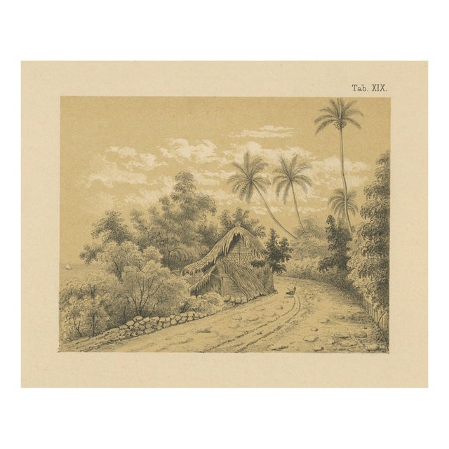 Karl Martin, Venezuela La Guaira Landscape, 1888, Lithograph on Paper For Sale