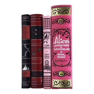 Chic Colorful Bookshelf Decor Set: Pink, Red & Black Classics 2010 Barnes & Noble For Sale