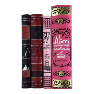 Chic Colorful Bookshelf Decor Set: Pink, Red & Black Classics 2010 Barnes & Noble
