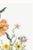 Paper Vintage Wildflowers Study, Botanical Art Print Reproduction, 32" X 48" For Sale - Image 7 of 9