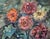 Dzidra Bauma, Gerberas, 1987, Watercolor For Sale - Image 3 of 5