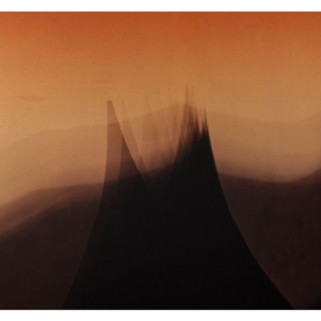 Contemporary Anne Sager "Burma" Landscape Photogram For Sale - Image 3 of 5