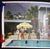 1970s 1970s "Palm Springs Pool" First Edition 1/150 Estate Stamped C-Print by Slim Aarons For Sale - Image 5 of 9