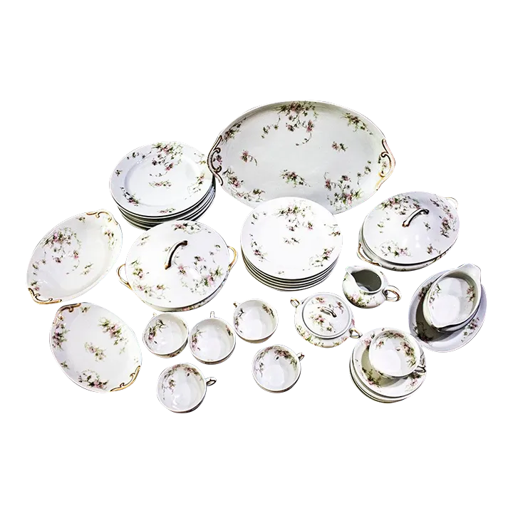 Charles Fields Haviland Limoges China Schleiger377 Pattern