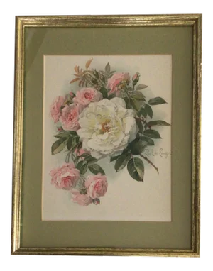 Vintage Framed and Matted 1905 Paul De Longpre Pink and White Roses Lithograph Printed by the Grey Co. New York
