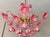 1980s Vintage Murano Style Large Chandelier, Pink Floral Chandelier, Bouquet Style Ceiling Light, 4-Light Flush Mount For Sale - Image 5 of 16