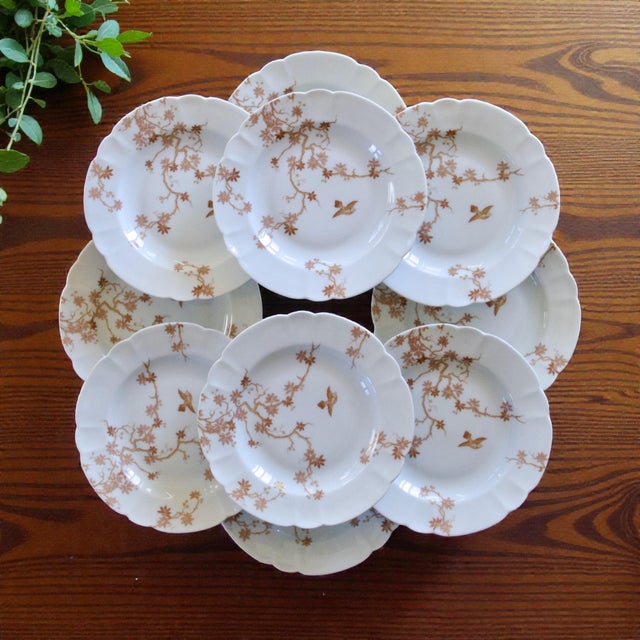 Ceramic Vintage Limoges Porcelain Plates from Haviland, 1930s, Set of 10 For Sale - Image 7 of 7