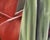 Raspberry Red 2000s "Red Ginger" Gallery Wrapped Oil Painting by Judith Moore For Sale - Image 8 of 10