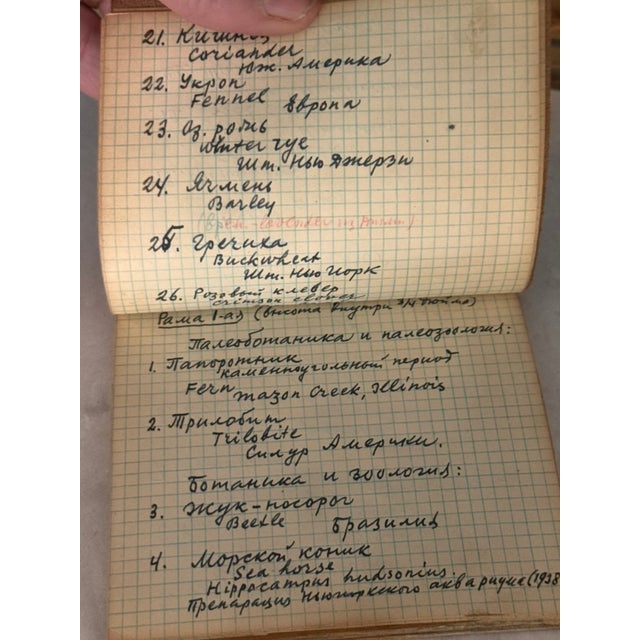 Vintage Lucite Scientific Display Case Seed Collection + Specimen Tray Notes For Sale - Image 16 of 17