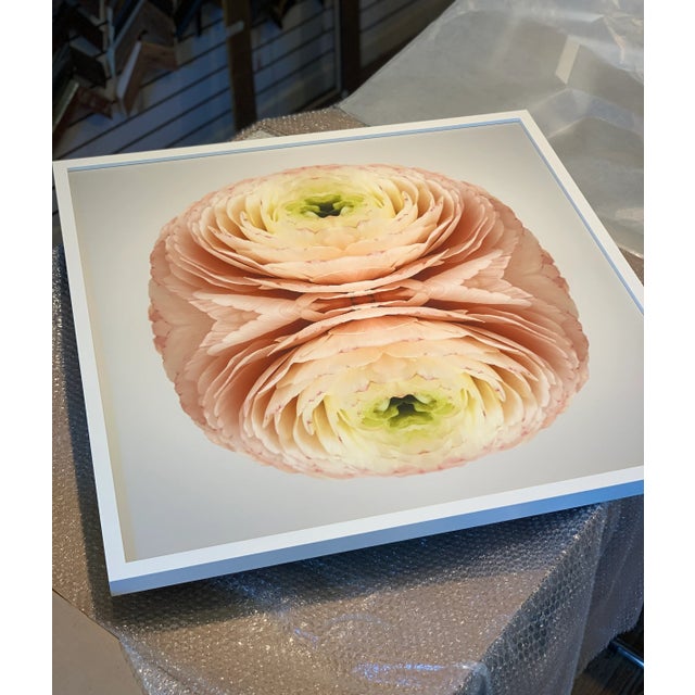 Not Yet Made - Made To Order Diptych - No. 199 & No. 207 - Limited Edition Botanical Print by Erin Derby For Sale - Image 5 of 8