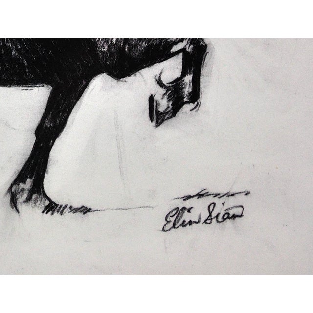 Elin Sian Blake, Black Welsh Cob, Charcoal on Paper For Sale - Image 10 of 18