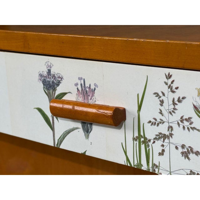 Swedish Modern, Nordens Flora Bookcase, Birch, Floral Lithographs, Sweden, 1940s For Sale - Image 10 of 15