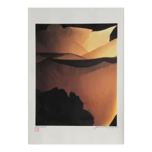 Orange Rose, Jonathan Singer