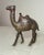 Up for sale is a rare antique original A. C. Williams "ORAK" camel cast iron still bank. This collectible item was made in...