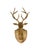 Pottery Barn Deer Head Pottery Barn Large Carved Wood Stag on Plaque Rustic Cabin Man-Cave Decor For Sale - Image 4 of 7