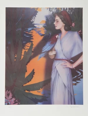 Robert Anderson, on the Amazon, Lithograph