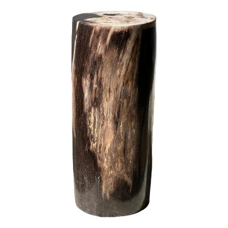 Side Table in Multicolored Petrified Wood with White Top For Sale