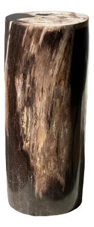 Side Table in Multicolored Petrified Wood with White Top