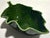 Gumps 20th C. MCM Italian Gump's Leaf Trinket Dish Catchall For Sale - Image 4 of 7