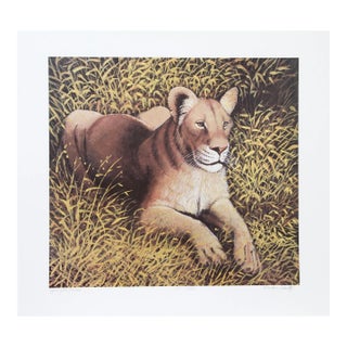 1980s "Ngorongoro Lioness" Lithograph by Caroline Schultz For Sale