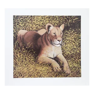 1980s "Ngorongoro Lioness" Lithograph by Caroline Schultz