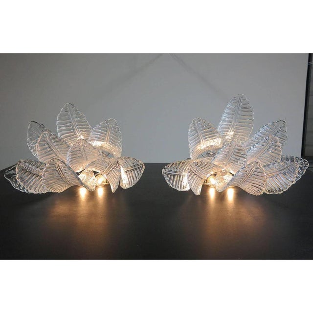 1970s Italian Felci Leaf Sconces in the style of Barovier & Toso, Set of 2 For Sale - Image 5 of 7