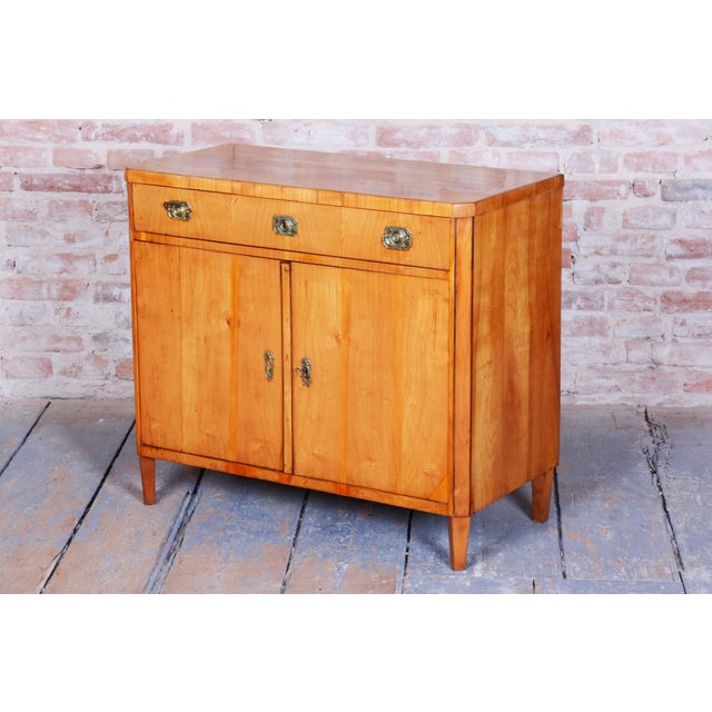 Biedermeier Cabinet in Cherry, Spruce & Ebony, Czech, 1820s For Sale - Image 15 of 17