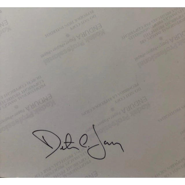 Peter C. Jones Botanical Still Life Color Photograph, 2005 For Sale - Image 4 of 6