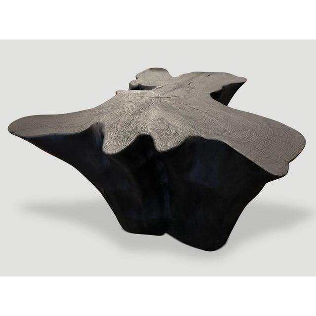Charcoal Andrianna Shamaris Sculptural Charred Teak Wood Coffee Table For Sale - Image 8 of 18