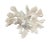 Shell Large Natural White Coral Reef Specimen #4 For Sale - Image 7 of 9