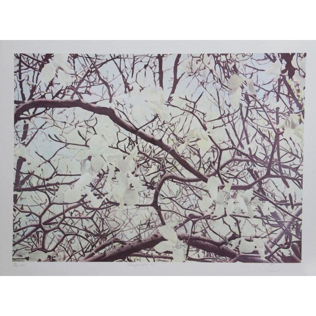 Jon D'Orazio, "Magnolia IV," Lithograph For Sale