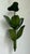 Metal Vintage Green Banana Leaf Six Arm Chandelier For Sale - Image 7 of 12