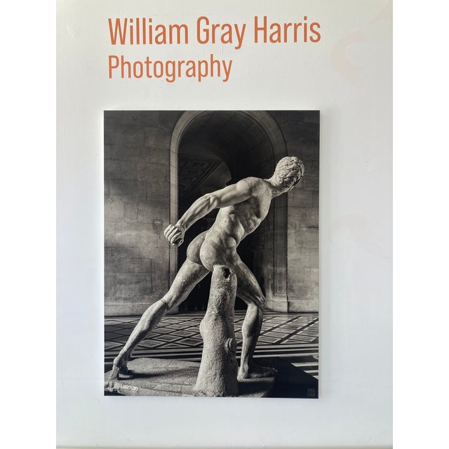 Modern William Gray Harris Photograph on Canvas “ the Borghese Gladiator “ For Sale - Image 3 of 9