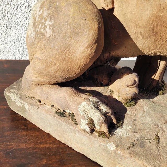 Lion Sculpture in Terracotta, 1800s For Sale - Image 12 of 18