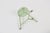 Aqua Industrial Green Painted Stool with Steel Base and Wooden Top, 1930s For Sale - Image 8 of 9