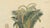 Antique Sago Palm Botanical Print, 1831 For Sale - Image 3 of 10