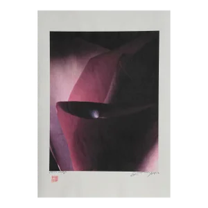 Purple Pearl, Jonathan Singer