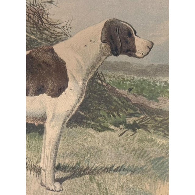 An original Victorian chromolithograph of the pointer dog named "Wagg," shown on point in an open landscape with a fallen...