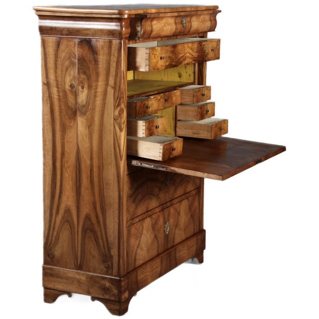 Antique Biedermeier Louis Phillipe Secretaire in Walnut, 1840 For Sale - Image 4 of 18