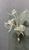Vintage Venetian Murano Glass Wall Sconces, 1970s, Set of 2 For Sale - Image 6 of 13