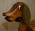 Handmade Childrens Rocking Horse of Dachshund Sausage Dog, 1930s For Sale - Image 6 of 17