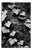 Paul Cooklin, Ivy, Thornham Walks, Suffolk, Edition of 50 For Sale