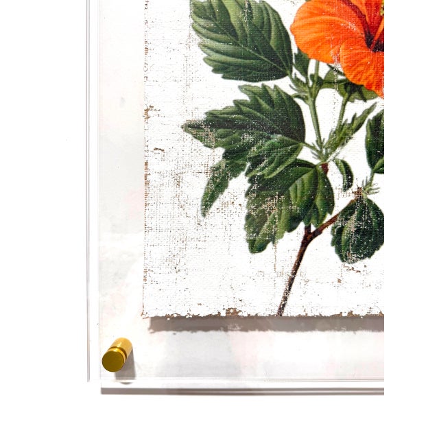 Orange Tropical Hibiscus - Hand Textured Orange Flower Art For Sale - Image 4 of 5
