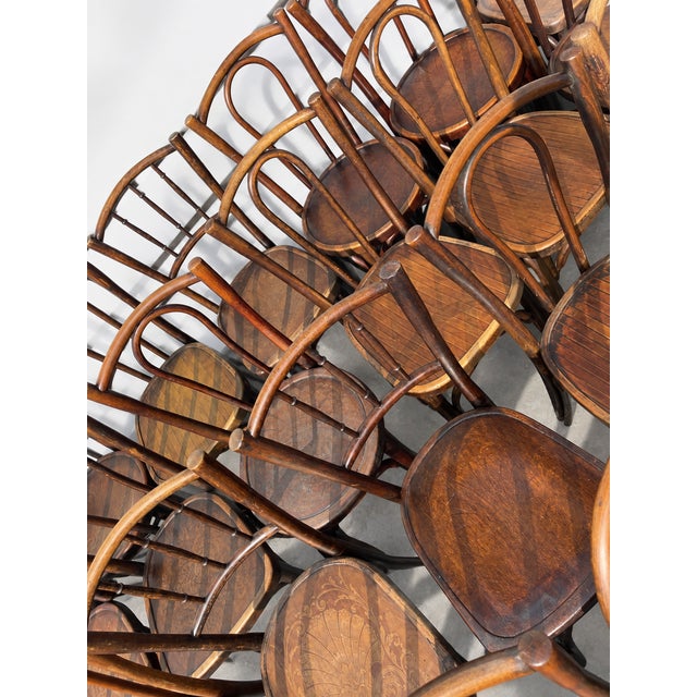 French Wood Bistro Chairs in the style of Thonet, France, 1940, Set of 60 For Sale - Image 10 of 13